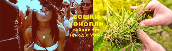MESCALINE Иннополис