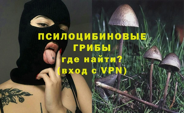 прущая мука Билибино