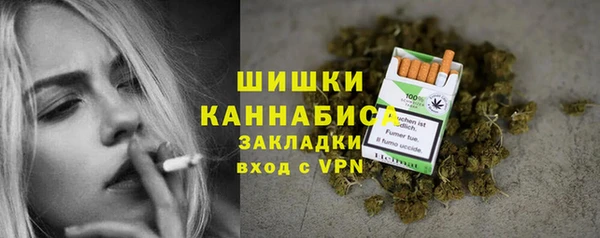 дурь Бикин