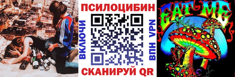 Галлюциногенные грибы мухоморы  хочу наркоту  Кизляр 
