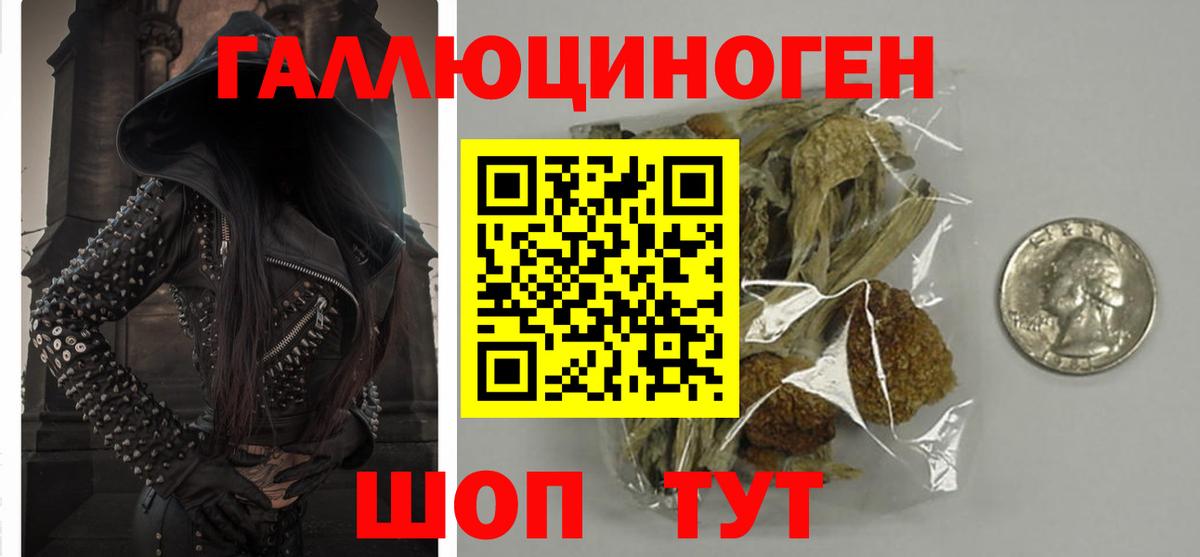 Галлюциногенные грибы прущие грибы Кизляр