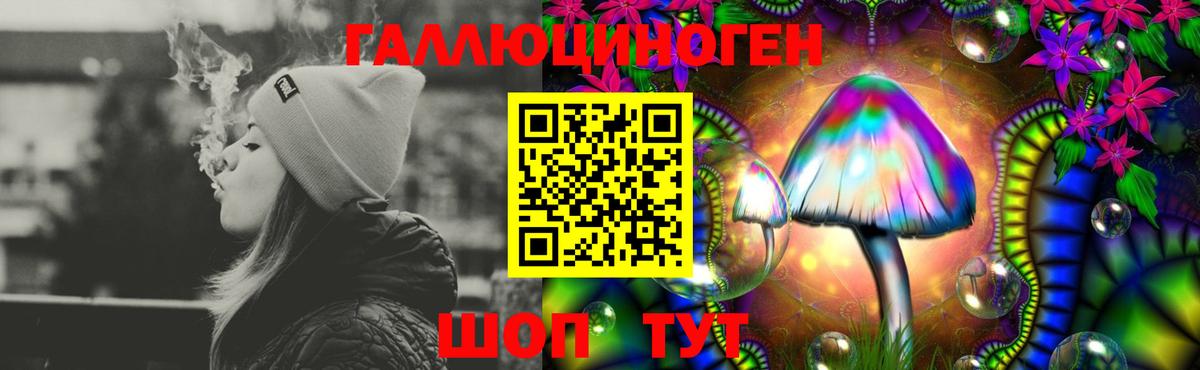Кизляр  Псилоцибиновые грибы ЛСД  Вход с VPN  Галлюциногенные грибы мухоморы 